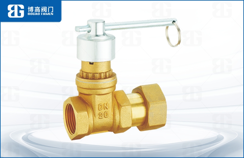 磁性鎖閉活(huo)接止回閘閥